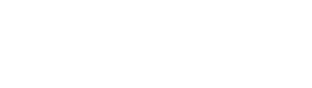 wit logo Solvetur